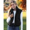 imageZeagoo Womens Puffer Vest Ladies Sleeveless Zip Up Outerwear Warm Puffer Lightweight Down all Winter Jackets Coats 2024Black