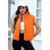 imageZeagoo Womens Puffer Vest Ladies Sleeveless Zip Up Outerwear Warm Puffer Lightweight Down all Winter Jackets Coats 2024Burnt Orange
