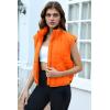 imageZeagoo Womens Puffer Vest Ladies Sleeveless Zip Up Outerwear Warm Puffer Lightweight Down all Winter Jackets Coats 2024Burnt Orange