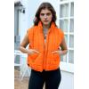 imageZeagoo Womens Puffer Vest Ladies Sleeveless Zip Up Outerwear Warm Puffer Lightweight Down all Winter Jackets Coats 2024Burnt Orange