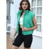 imageZeagoo Womens Puffer Vest Ladies Sleeveless Zip Up Outerwear Warm Puffer Lightweight Down all Winter Jackets Coats 2024Green