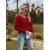 imageZeagoo Womens Blouses Dressy Casual V Neck Top Swiss Dot Balloon Long Sleeve ShirtsRed