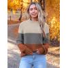 imageZeagoo Womens 2025 Fall Turtleneck Sweaters Trendy Loose Long Sleeve Knit Pullover Jumper TopsZcamel Block Color