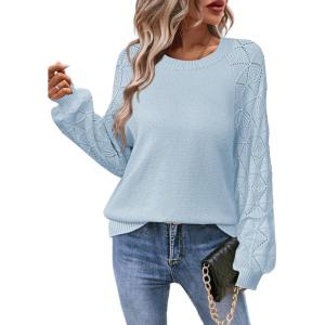 imageZeagoo Womens Sweaters 2024 Long Sleeve Crew Neck Lightweight Pullover Knitted Fall Fashion TopsSky Blue