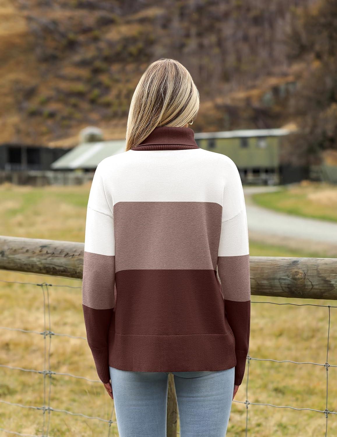imageZeagoo Womens Turtleneck Sweater 2025 Fall Winter Chunky Knitted Pullover High Low Hem Trendy Basic Jumper TopMulticolored