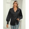 imageZeagoo Womens Satin Blouse Lantern Long Sleeve Silk Button Down Shirt Dressy Casual Business Work Tunic TopsBlack
